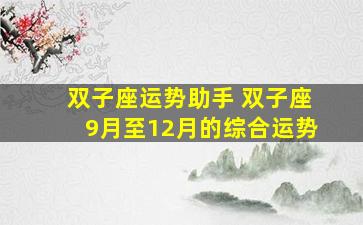 双子座运势助手 双子座9月至12月的综合运势